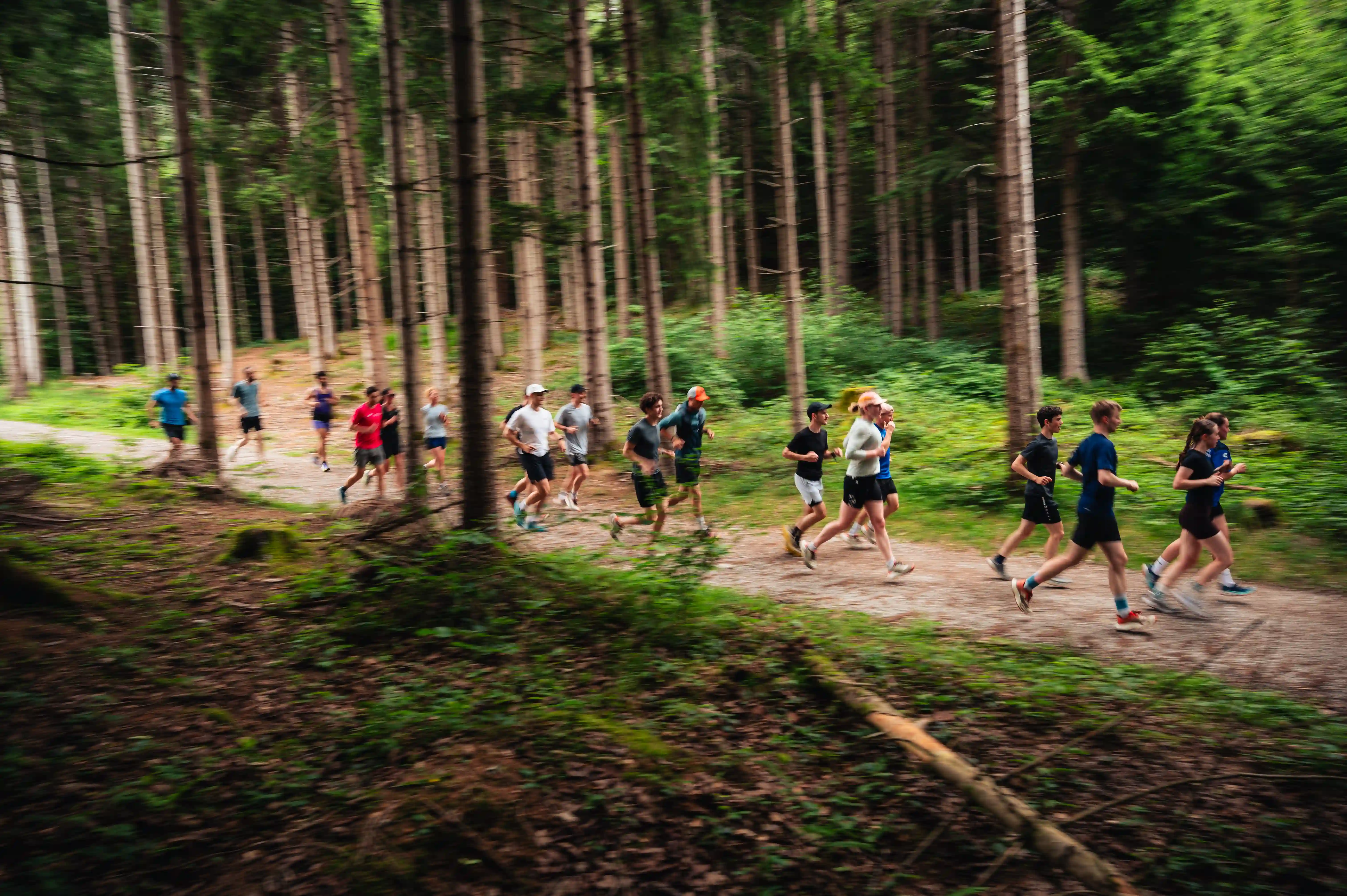 Beginner trail runners