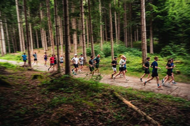 DNA Trails runners following a winding forest trail together