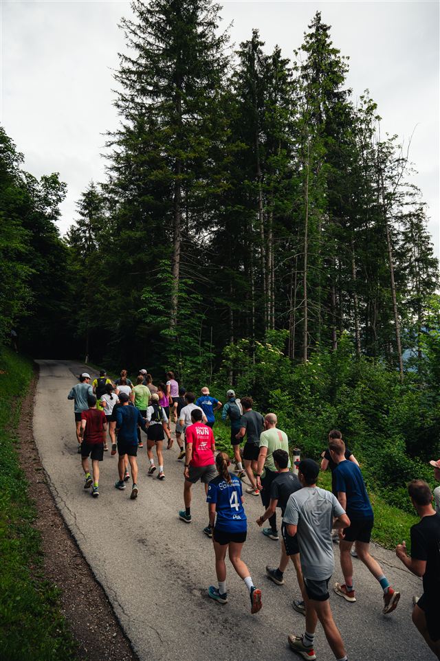 DNA Trails runners heading uphill together along a forest road